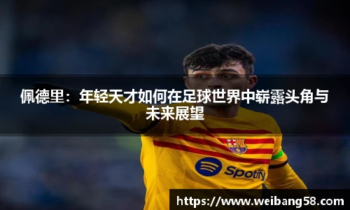 佩德里：年轻天才如何在足球世界中崭露头角与未来展望