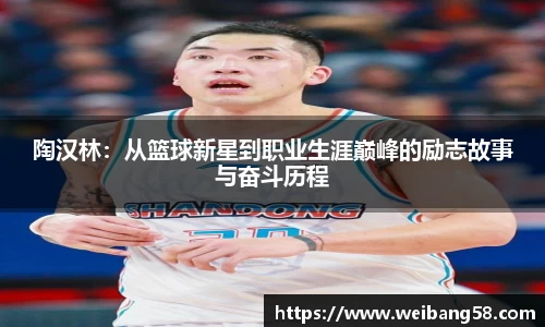 陶汉林：从篮球新星到职业生涯巅峰的励志故事与奋斗历程