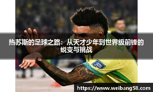 db旗舰平台